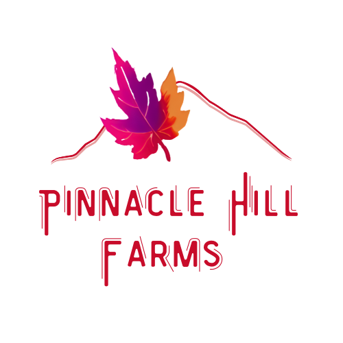 PinnacleHillMaple